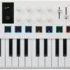 Arturia MiniLab MK3 25-Key Controller