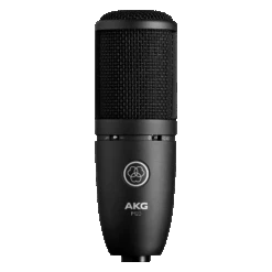 AKG P120 Studio Vocal Condenser Microphone