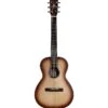 Alvarez DELTA DELITE E Acoustic Guitar Jazz & Blues W/Pickup