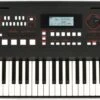 Roland E-X50 Portable Arranger Keyboard 2 Roland E-X50 Portable Arranger Keyboard -Audio Equipment Store EX50 large