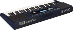Roland E-X30 Portable Arranger Keyboard -Audio Equipment Store e x30 back2 gal 1