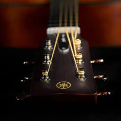 Yamaha FG5 All-Solid Acoustic Guitar 15 Yamaha FG5 All-Solid Acoustic Guitar -Audio Equipment Store fg5 142698 2400 lifestyle jpg