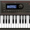 Roland JUNO DS61 61-Key Performance Workstation Keyboard 2 Roland JUNO DS61 61-Key Performance Workstation Keyboard -Audio Equipment Store juno ds 1