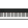 Korg D1 Compact Digital Piano