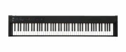 Korg D1 Compact Digital Piano