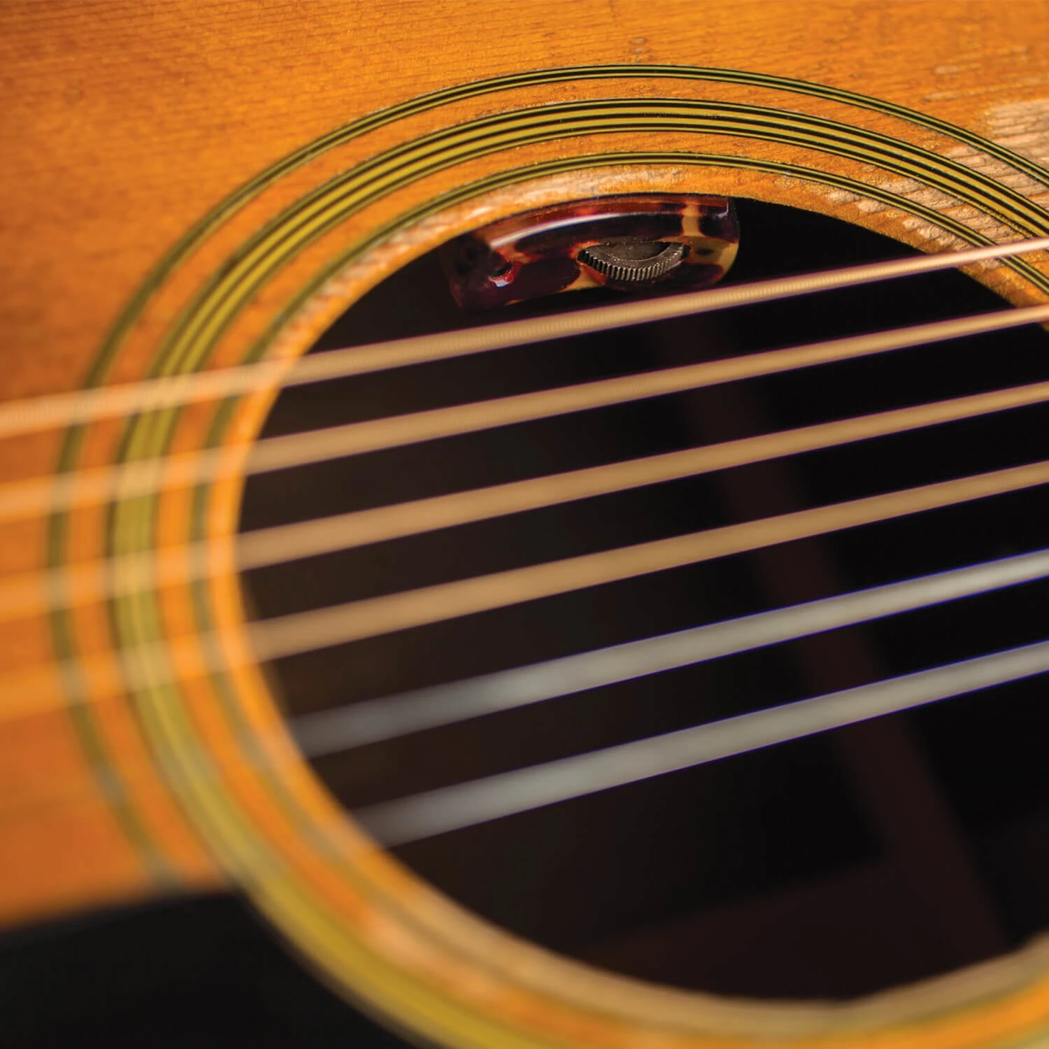 LR Baggs LYRIC Acoustic Guitar Pickup System 5 LR Baggs LYRIC Acoustic Guitar Pickup System - Image 3