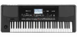 Korg Pa300 61-Key Arranger Workstation
