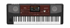 Korg Pa700 61-Key Arranger Workstation