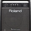 Roland PM100 80W 1 X 10" Drum Monitor