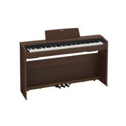 Casio Privia PX870 Digital Piano 11 Casio Privia PX870 Digital Piano -Audio Equipment Store px870 abb5218b 4d0e 406e 9925 cfc9f316b3e6