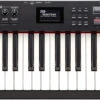 Roland RD-88 EX 88-Key Compact Stage Piano 2 Roland RD-88 EX 88-Key Compact Stage Piano -Audio Equipment Store rd 88 ex top gal